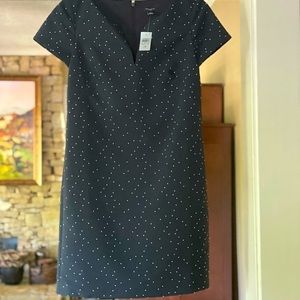 Ann Taylor Dot jacquard shift dress- 2P navy (NWT)